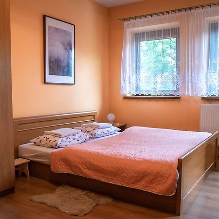 Apartament Domino - Krzeptowki 06 ザコパネ エクステリア 写真