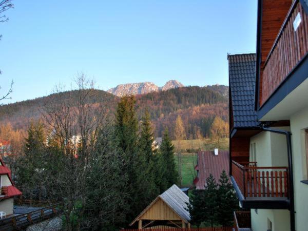 Apartament Domino - Krzeptowki 06 ザコパネ エクステリア 写真