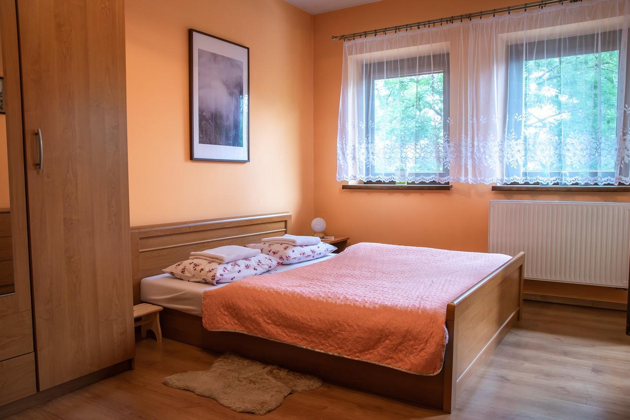 Apartament Domino - Krzeptowki 06 ザコパネ エクステリア 写真