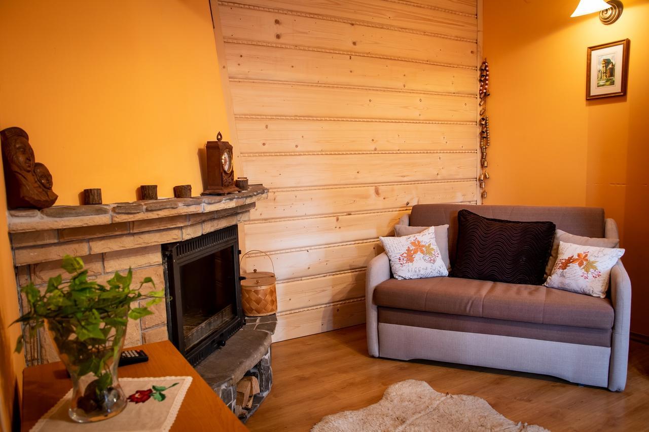 Apartament Domino - Krzeptowki 06 ザコパネ エクステリア 写真